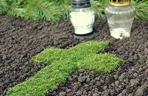 Kapaviečių priežiūra