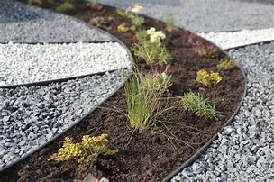 Proginis kapavietės sutvarkymas